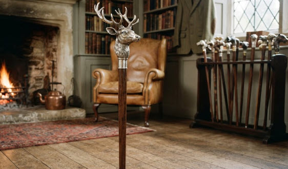 collecting walking sticks